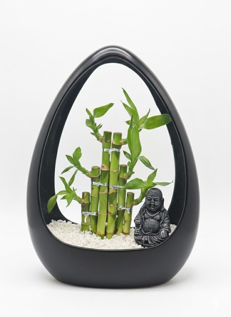 Modern Zen Lucky Bamboo Arrangement in Teardrop Ceramic Planter