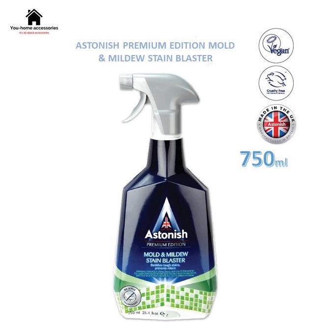 Astonish Specialist Mould Blast