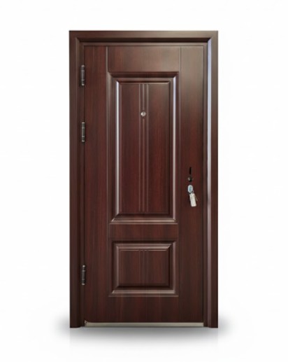 Premium Steel Door