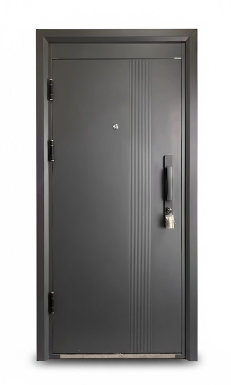 Modern Steel Entry Door