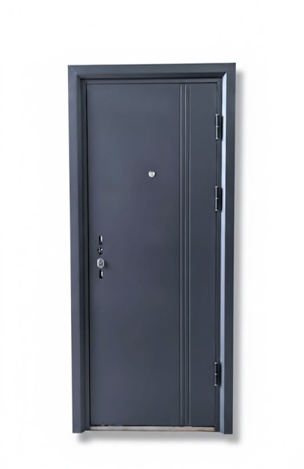 Contemporary Steel Security Door