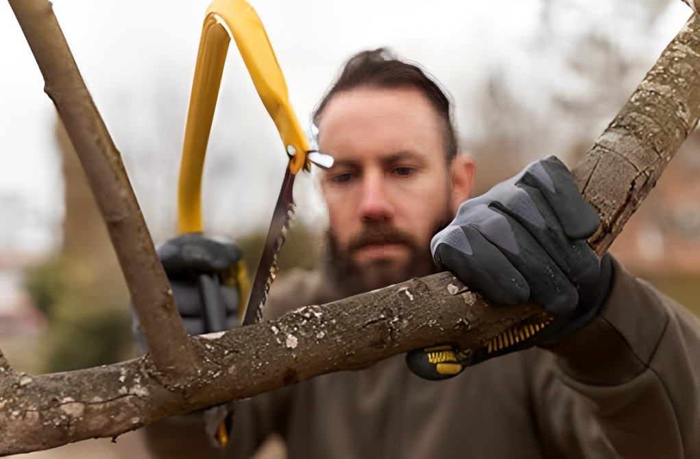 Stanley Bow  Hacksaw