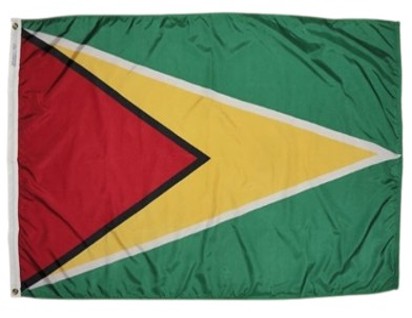 Annin Guyana Flag 34 Inch X 23 In.