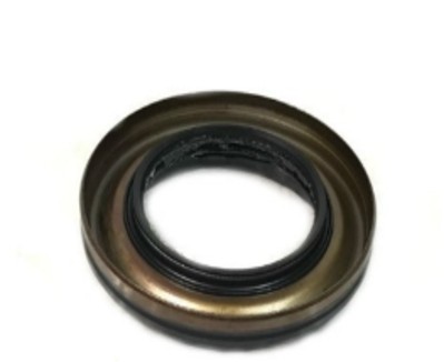 Oil Seal, For Rear Diff Carrier