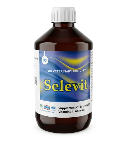 Selevit B5 Veterinary Vitamin Supplement