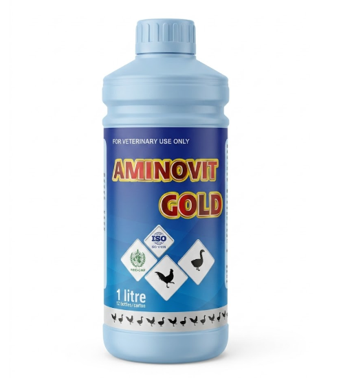 Aminovit Gold Veterinary Supplement (1 Litre)