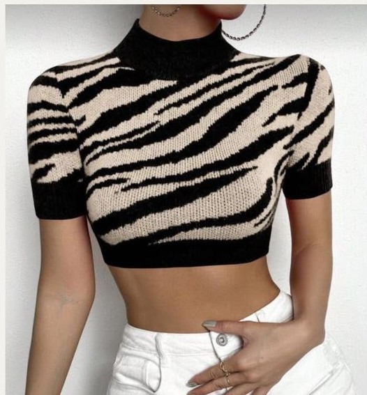Wild Edge Zebra Knit Crop Top - XS