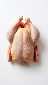 Freshly Plucked Chicken