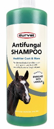 Antifungal Shampoo