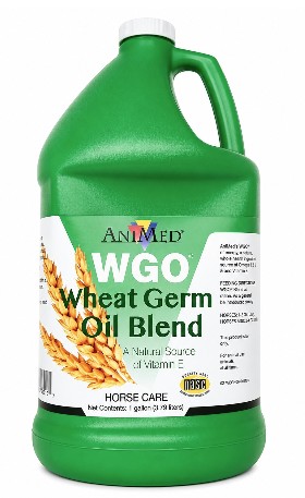 Wheat Germ Oil Blend