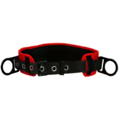 3M·protecta Pro·1091014 Pro 2 Positioning Belt, Work Positioning, 310 Lbs, M/L