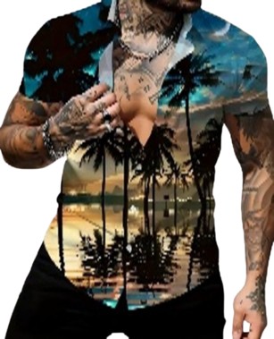 Sunset Seaside Coconut Trees 3D Graphic Digital Print, Men's Novelty Short Sleeve Button Down Shirt For Summer Vacation (M)