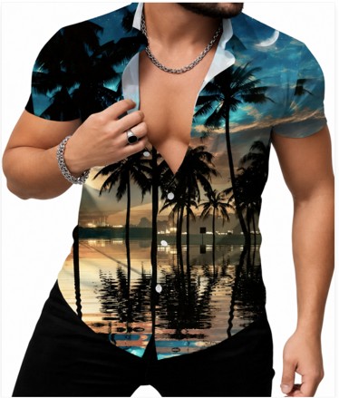 Sunset Seaside Coconut Trees 3D Graphic Digital Print, Men's Novelty Short Sleeve Button Down Shirt For Summer Vacation (M)