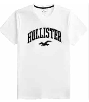 HOLLISTER Graphic Tees (XS)