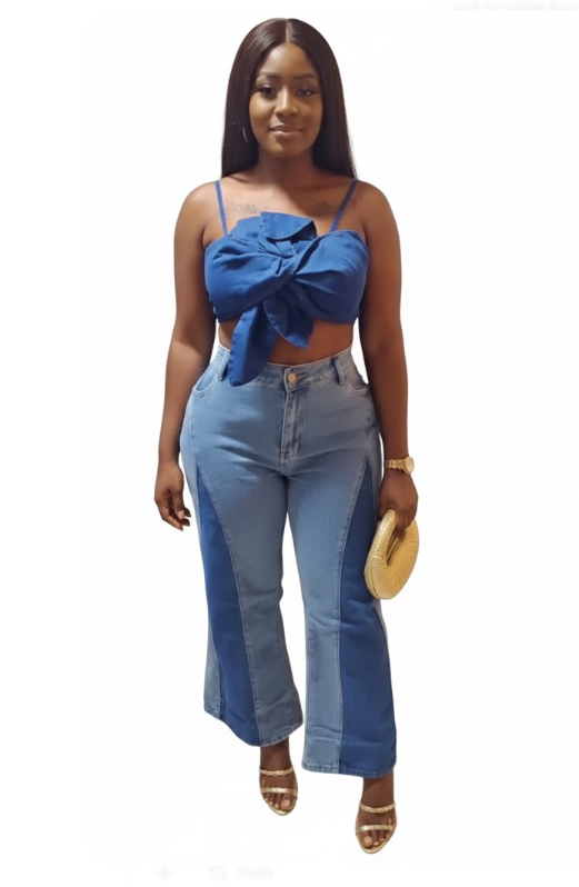 Chic Two-Tone Denim Crop Top & Palazzo Set