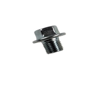 Plug, Straight Screw(For Oil Seal Retainer),