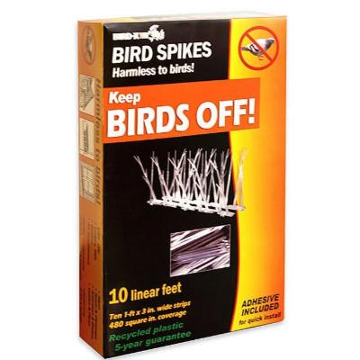Bird Spikes