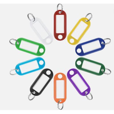 Colored Oval Key Tags