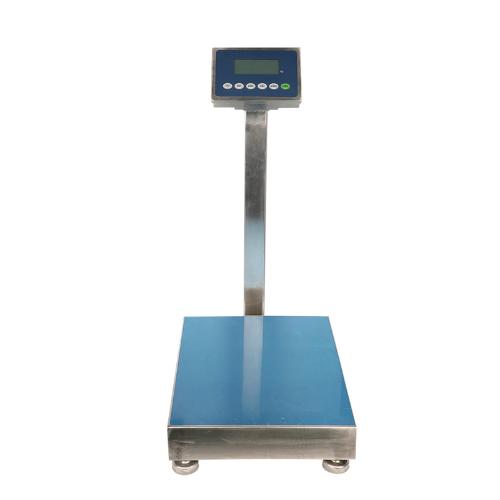 Stainless Steel Platform Scales