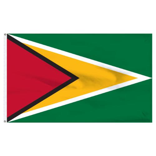 Guyana Flag