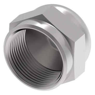 Eaton Adapter Female Cap Nut