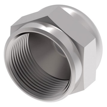 Eaton Adapter Female Cap Nut