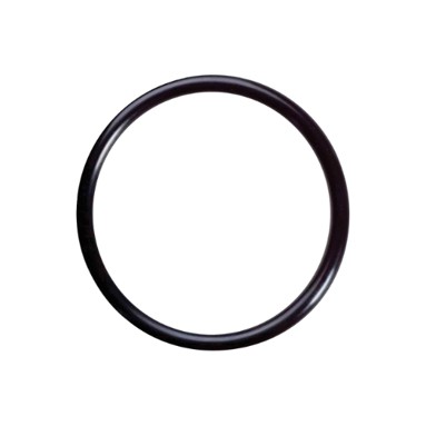 6V9746 O-Ring-Seal