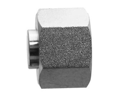 #12 Bspp Swivel Cap