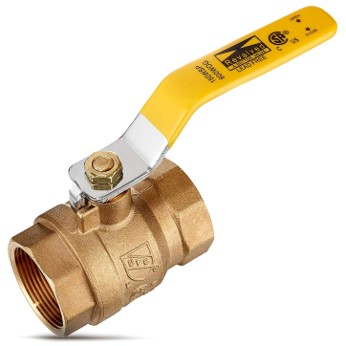 Dnp 600 Psi Brass 1/2 In Ball Valve