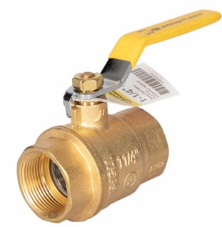 Dnp 600 Psi Brass 1-1/4 In Ball Valve