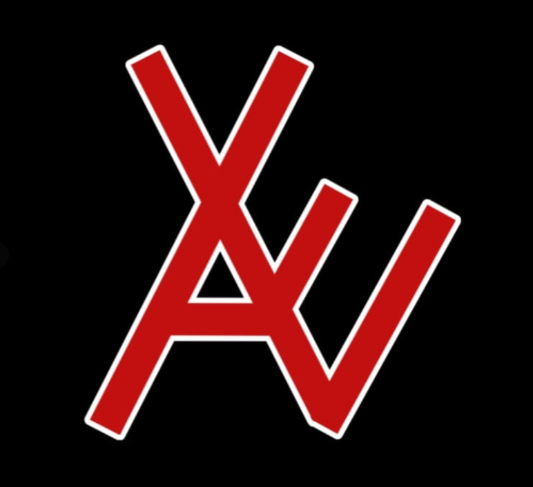 ALXstores logo