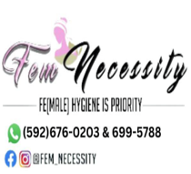 Fem Necessity